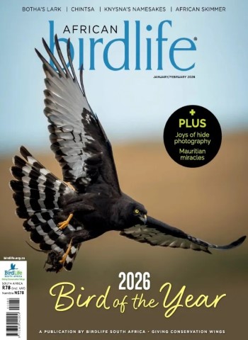 African Birdlife - January-February 2026 Magazine