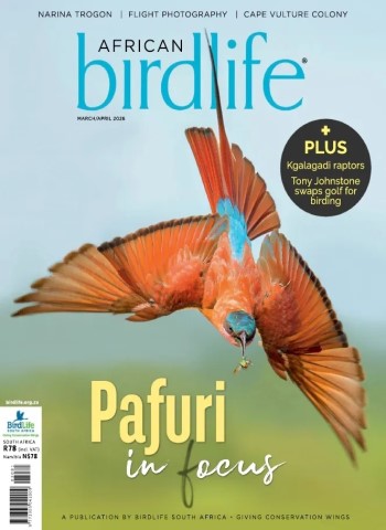 African Birdlife - March-April 2026 cover
