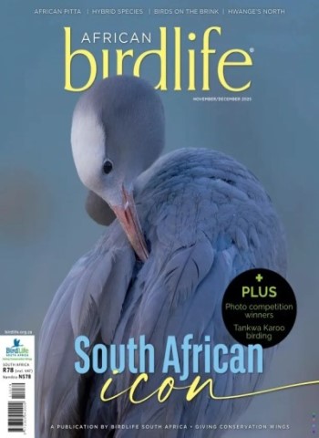 African Birdlife - November-December 2025 Magazine