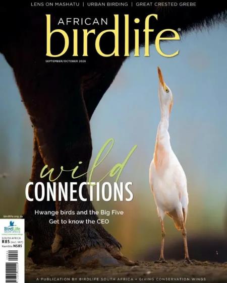 African Birdlife - September-October 2026 Magazine