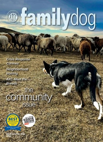 AKC Family Dog - March-April 2026 cover