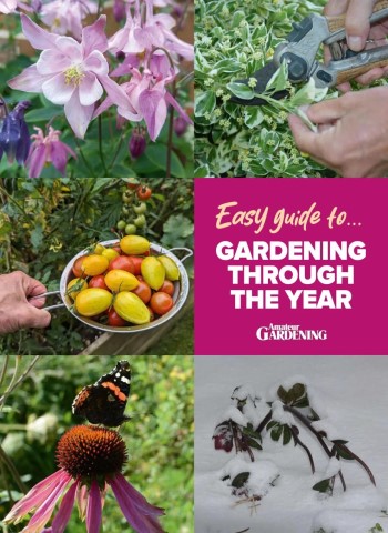Amateur Gardening Easy Guide - Issue 10 2026 cover