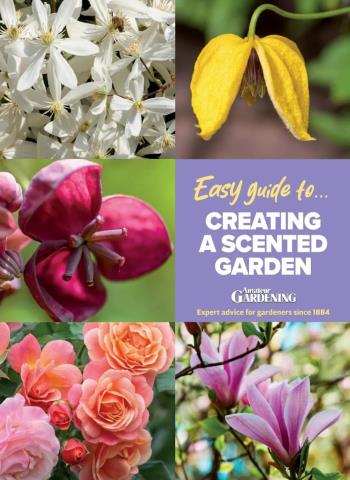 Amateur Gardening Easy Guide - Issue 14 2026 Magazine