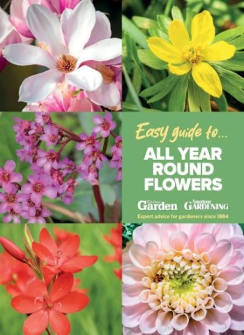 Amateur Gardening Easy Guide - Issue 9 2025 Magazine