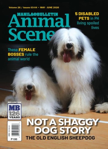 Animal Scene - May-June 2026 cover