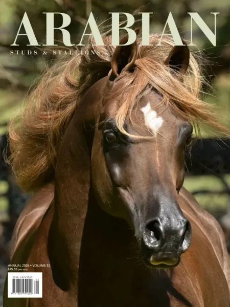 Arabian Studs & Stallions - Volume 52 2026 Magazine