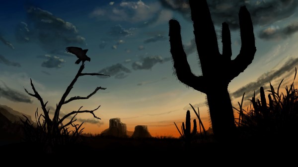 Bird Predator Silhouette Wallpaper