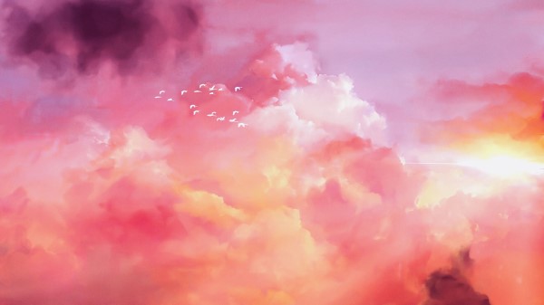 Birds Flock Pink Wallpaper