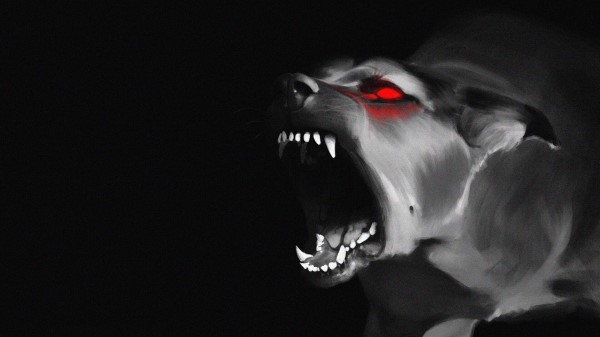 Dog Grin Fangs Wallpaper