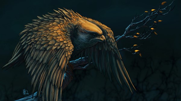 Hawk Bird Branch Wallpaper