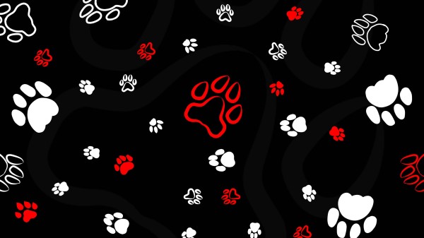 Paws Patterns Traces Wallpaper