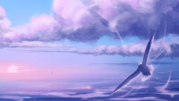 Seagull Bird Flight Wallpaper