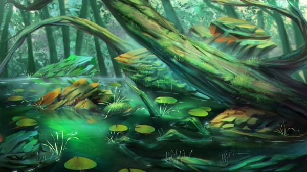 Swamp Trees Stones Wallpaper