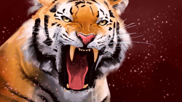Tiger Grin Aggression Wallpaper