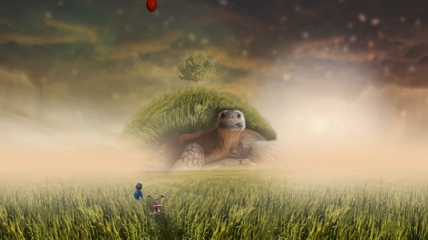 Turtle Photoshop Child Bicycle Field Grass Wallpaper