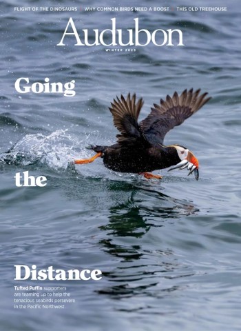 Audubon Magazine - Winter 2025 Magazine