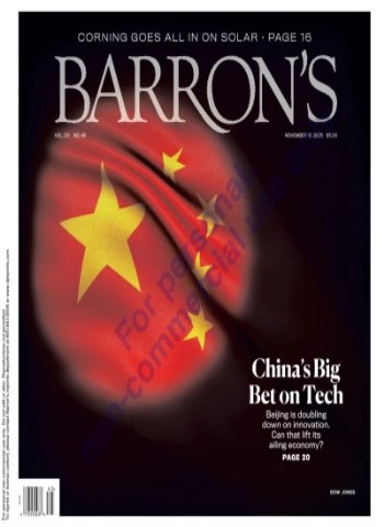 Barron's - November 10, 2025 Magazine