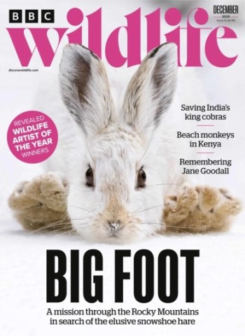 BBC Wildlife - December 2025 Magazine
