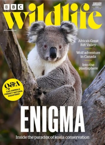 BBC Wildlife - January 2026 Magazine