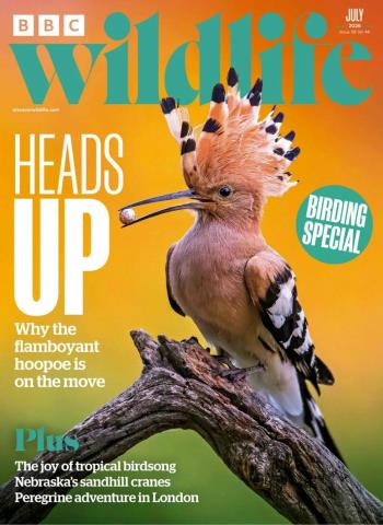 Front cover of BBC Wildlife - July 2026 magazine issue