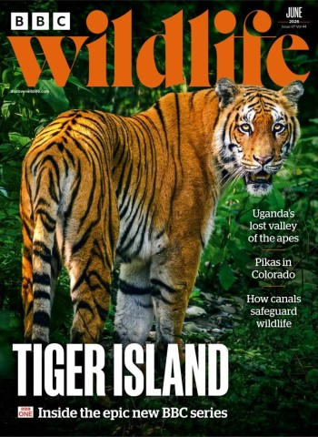 BBC Wildlife - June 2026 Magazine