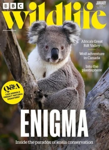 BBC Wildlife Magazine - Vol.44 Issue 1301, January 2026 Magazine