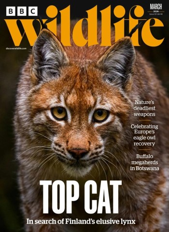 BBC Wildlife - March 2026 Magazine