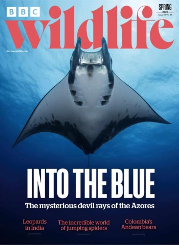 BBC Wildlife - Spring 2026 Magazine