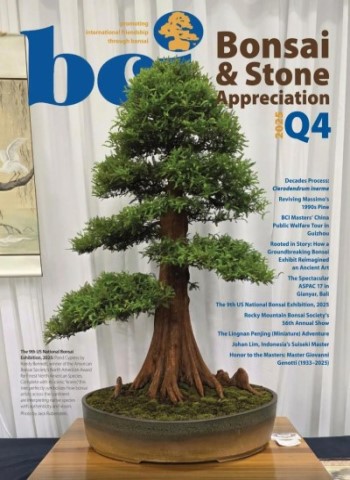 BCI Bonsai & Stone Appreciation Magazine - Issue 4 2025 Magazine