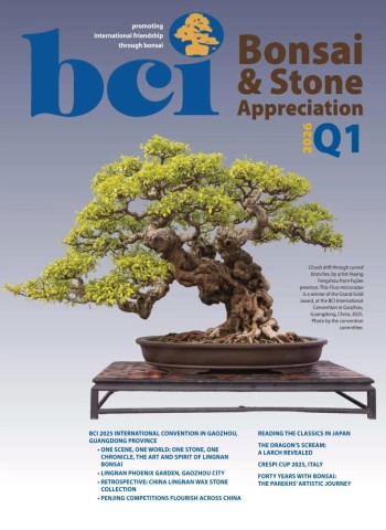 BCI Bonsai & Stone Appreciation Magazine - Volume 65 Number 1 Q1 2026 cover