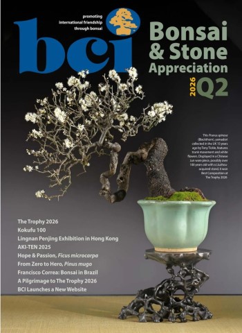 BCI Bonsai & Stone Appreciation Magazine - Volume 65 Number 2 2026 cover