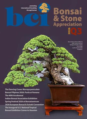 BCI Bonsai & Stone Appreciation Magazine - Volume 65 Number 3 2026 cover