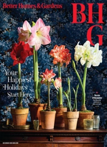 Better Homes and Gardens USA - December 2025 Magazine