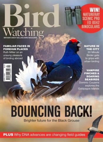 Bird Watching UK - April 2026 Magazine