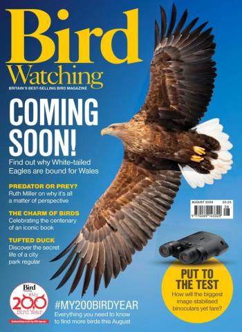 Bird Watching UK - August 2026 Magazine