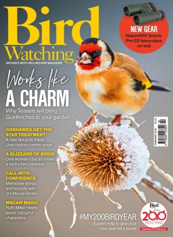 Bird Watching UK - February 2026 cover
