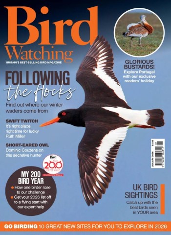 Bird Watching UK - January 2026 Magazine