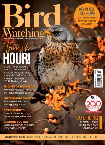 Bird Watching UK - November 2025 Magazine
