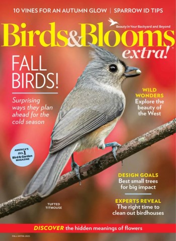 Birds and Blooms Extra - Fall 2025 Magazine