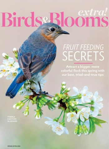 Birds and Blooms Extra - Spring 2026 Magazine