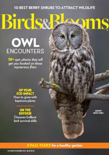 Birds & Blooms - October November 2026 Magazine