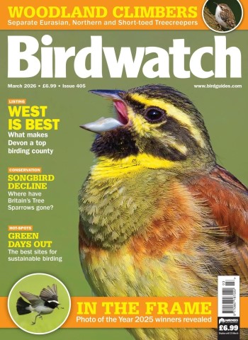 Birdwatch UK - 7 March 2026 Magazine