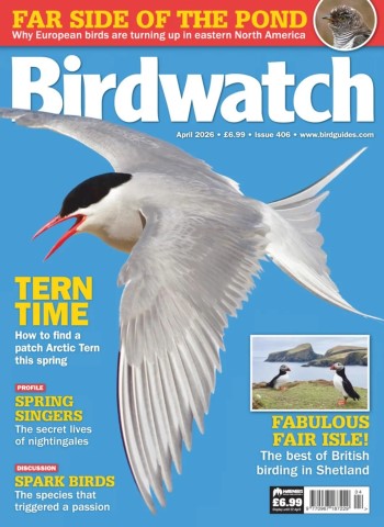 Birdwatch UK - April 2026 Magazine
