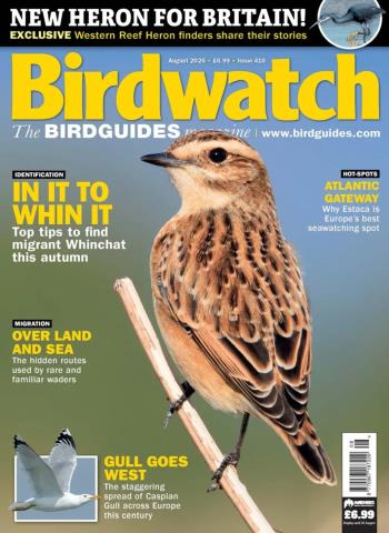 Birdwatch UK - August 2026 cover