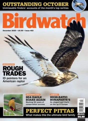 Birdwatch UK - December 2025 Magazine