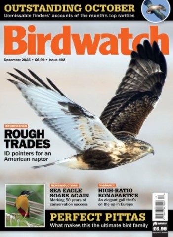 Birdwatch UK - Issue 402, December 2025 Magazine