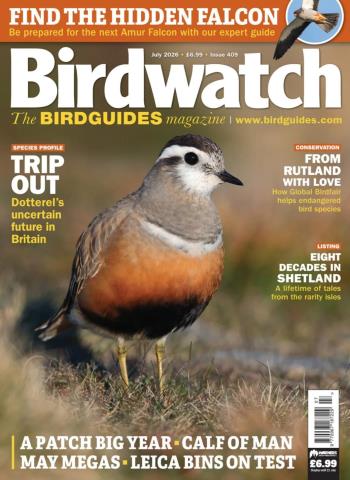 Birdwatch UK - July 2026 Magazine