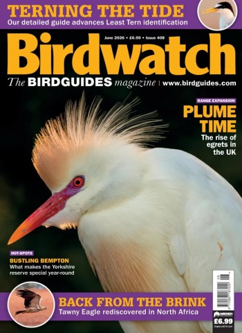 Birdwatch UK - June 2026 Magazine