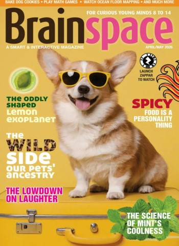 Brainspace - April-May 2026 cover