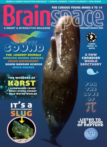 Brainspace - February-March 2026 cover